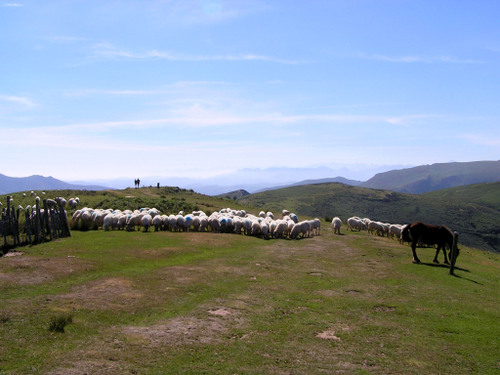 028 Col de Méhatche