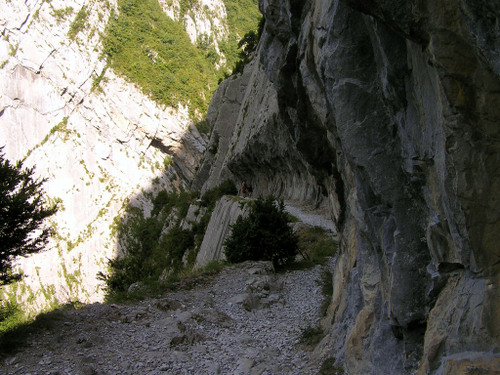 084 Le chemin de la mâture